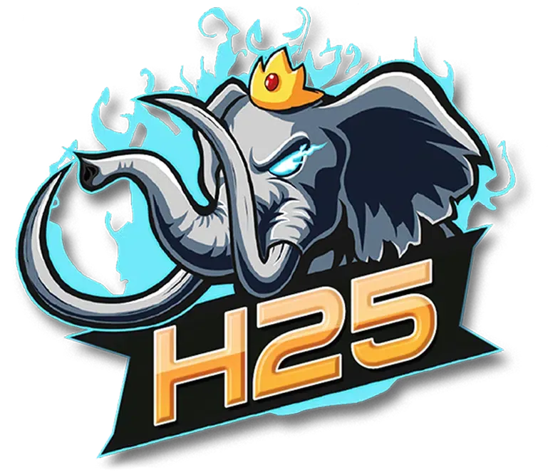h25vip